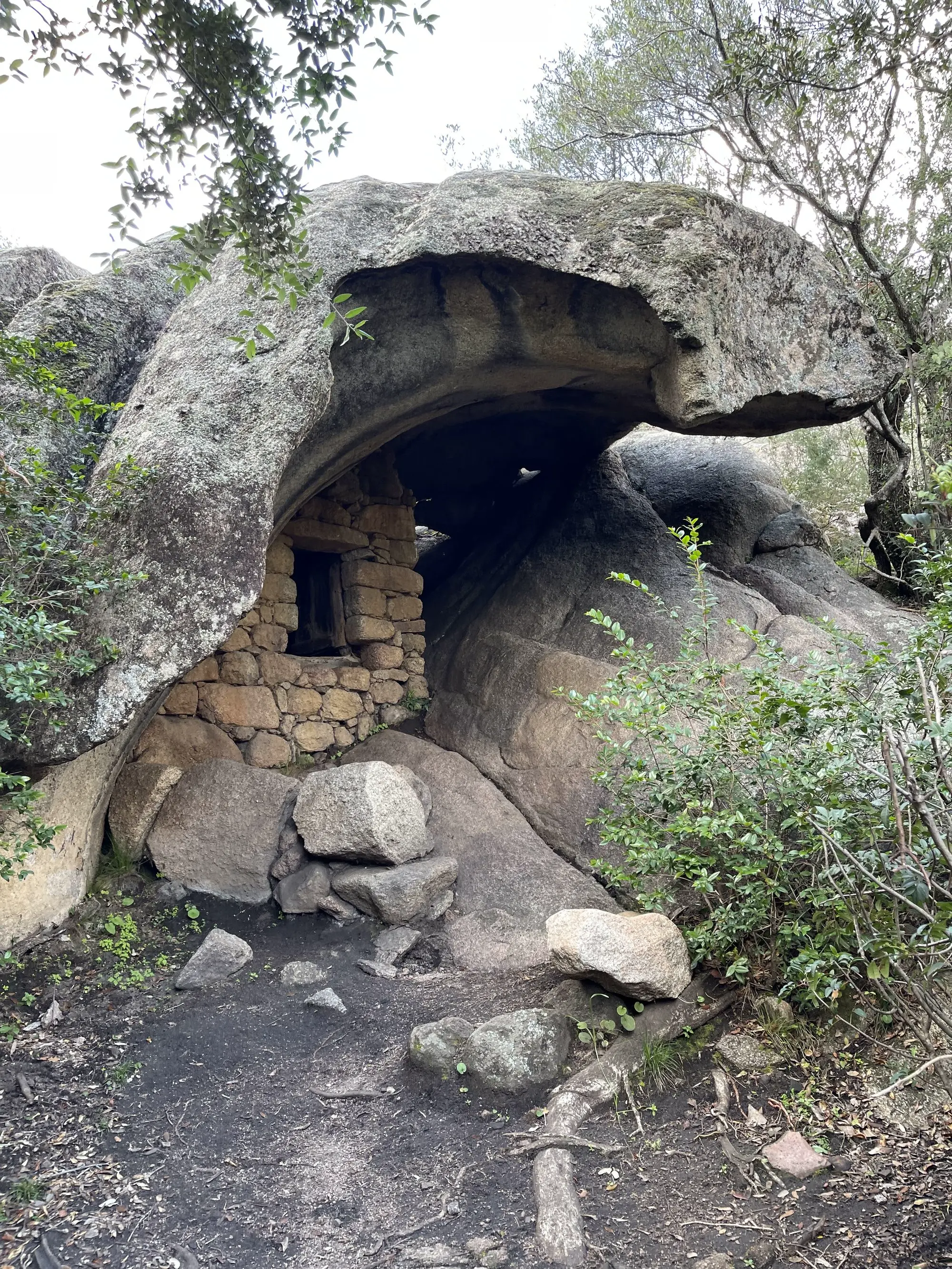 Orii Monaccia D Aullene