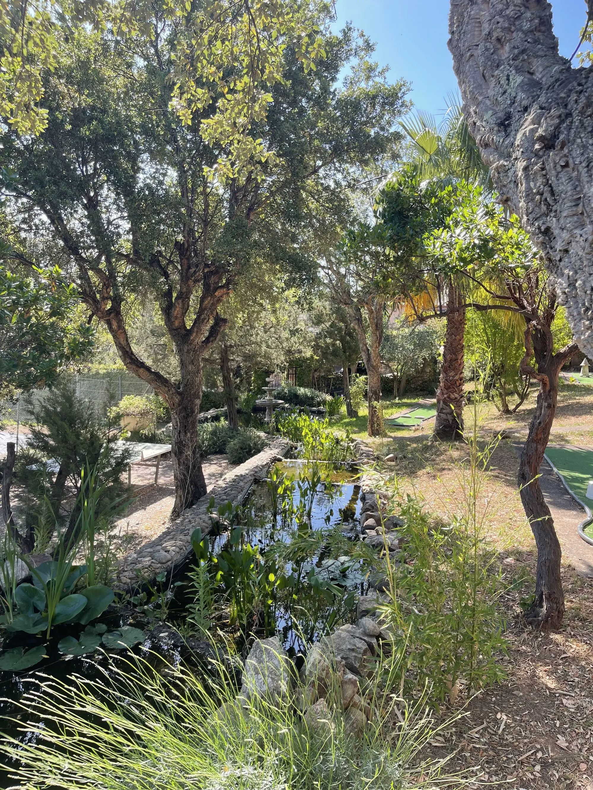 Coin détente dans le parc